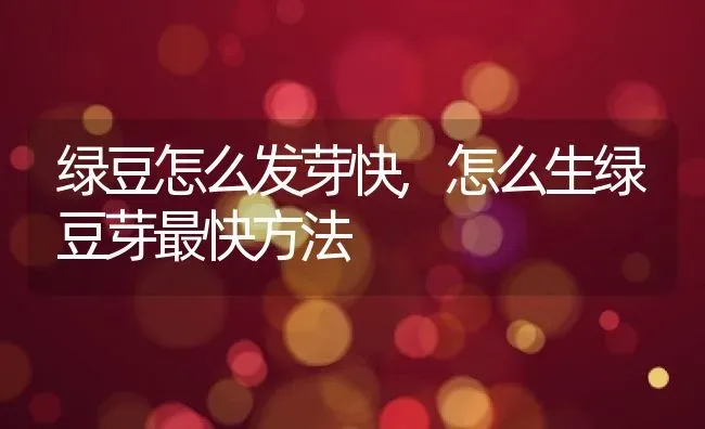 绿豆怎么发芽快,怎么生绿豆芽最快方法 | 养殖学堂