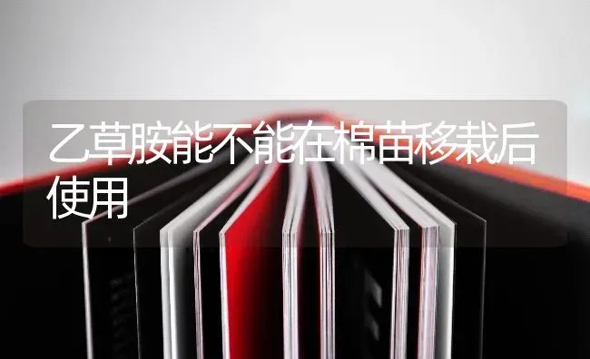乙草胺能不能在棉苗移栽后使用 | 养殖知识