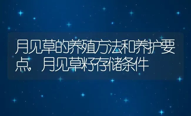 月见草的养殖方法和养护要点,月见草籽存储条件 | 养殖学堂