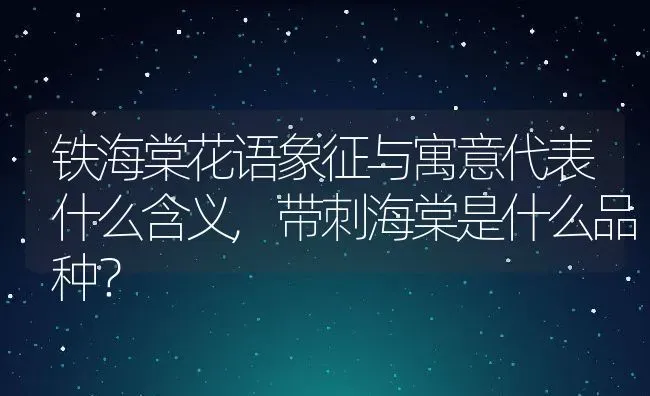 铁海棠花语象征与寓意代表什么含义,带刺海棠是什么品种？ | 养殖科普