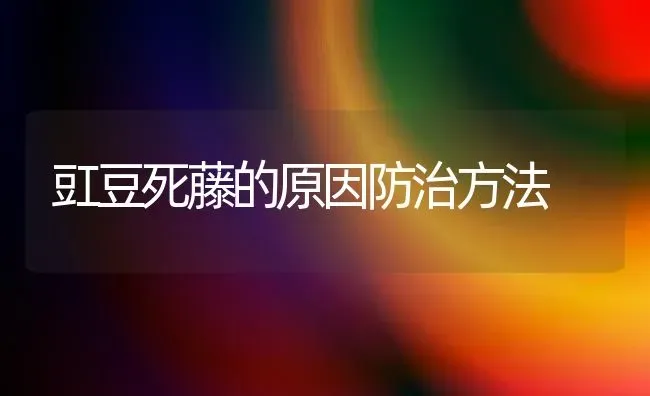 豇豆死藤的原因防治方法 | 养殖知识