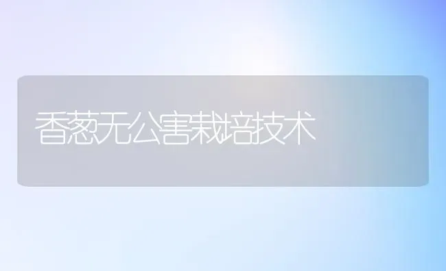 香葱无公害栽培技术 | 养殖技术大全