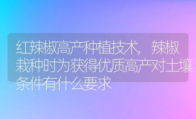 红辣椒高产种植技术,辣椒栽种时为获得优质高产对土壤条件有什么要求 | 养殖学堂