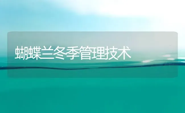 蝴蝶兰冬季管理技术 | 养殖知识