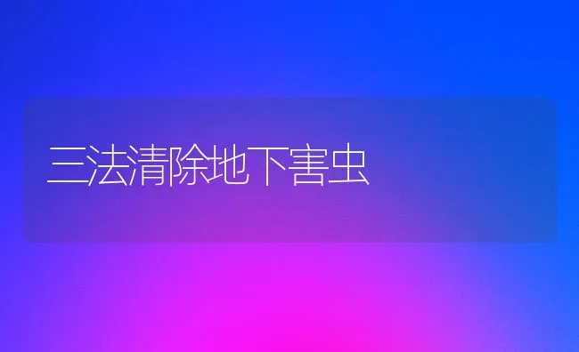 三法清除地下害虫 | 养殖知识