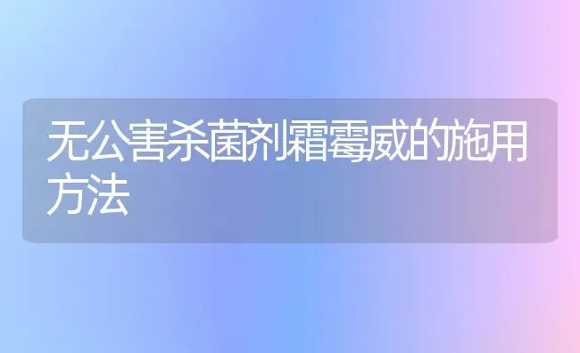 无公害杀菌剂霜霉威的施用方法 | 养殖知识