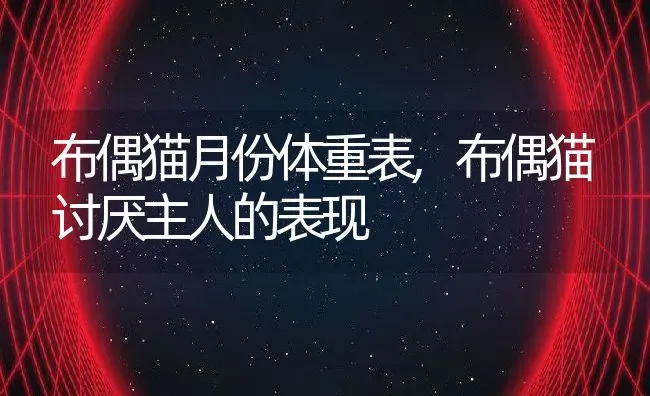 布偶猫月份体重表,布偶猫讨厌主人的表现 | 养殖科普