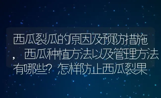 西瓜裂瓜的原因及预防措施,西瓜种植方法以及管理方法有哪些？怎样防止西瓜裂果 | 养殖学堂