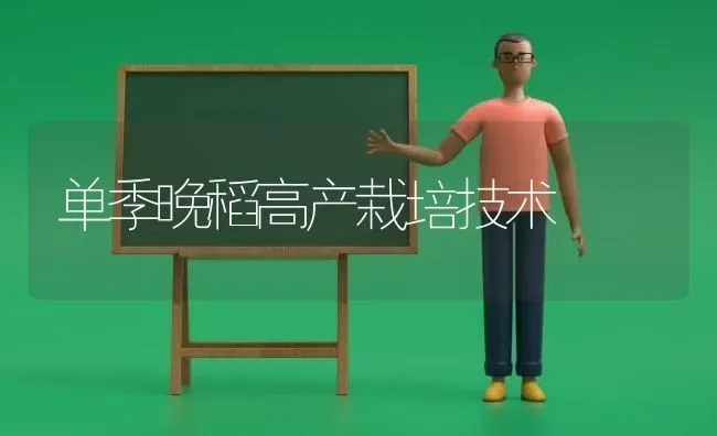 单季晚稻高产栽培技术 | 养殖技术大全