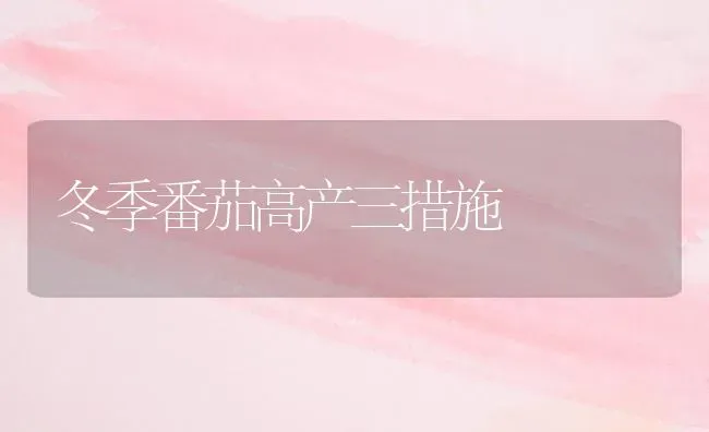 冬季番茄高产三措施 | 养殖知识