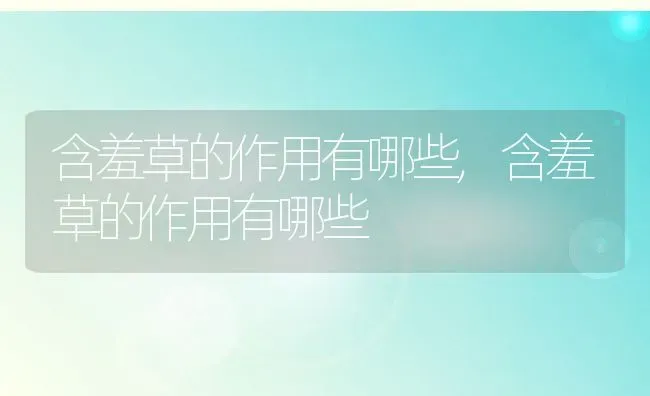 白细胞低怎么治疗,白细胞低怎么治疗和调理 | 养殖科普