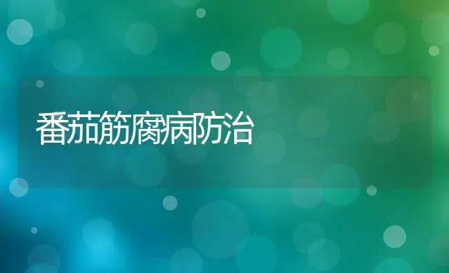番茄筋腐病防治 | 养殖技术大全