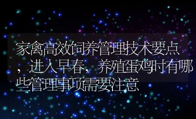 家禽高效饲养管理技术要点,进入早春，养殖蛋鸡时有哪些管理事项需要注意 | 养殖学堂