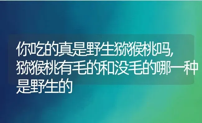 你吃的真是野生猕猴桃吗,猕猴桃有毛的和没毛的哪一种是野生的 | 养殖学堂