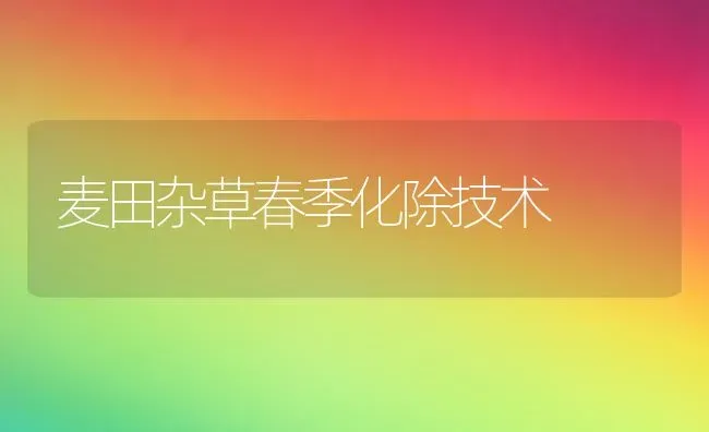 麦田杂草春季化除技术 | 养殖技术大全