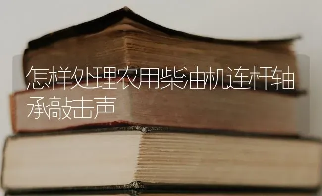 怎样处理农用柴油机连杆轴承敲击声 | 养殖知识