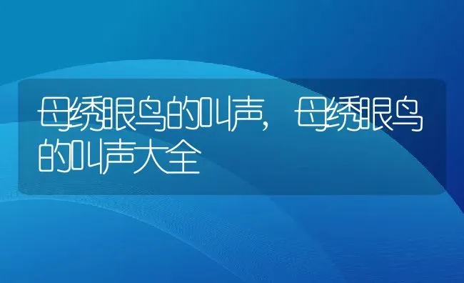 母绣眼鸟的叫声,母绣眼鸟的叫声大全 | 养殖资料