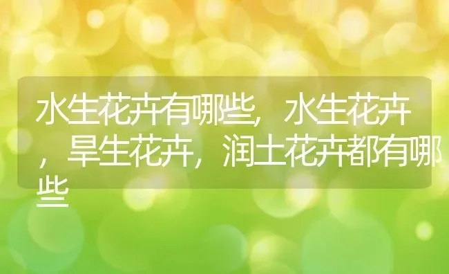 水生花卉有哪些,水生花卉，旱生花卉，润土花卉都有哪些 | 养殖学堂