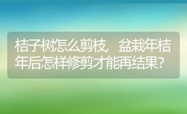 桔子树怎么剪枝,盆栽年桔年后怎样修剪才能再结果？ | 养殖科普