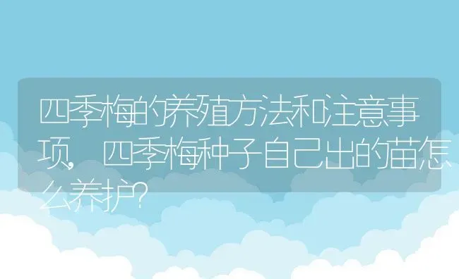 四季梅的养殖方法和注意事项,四季梅种子自己出的苗怎么养护？ | 养殖科普