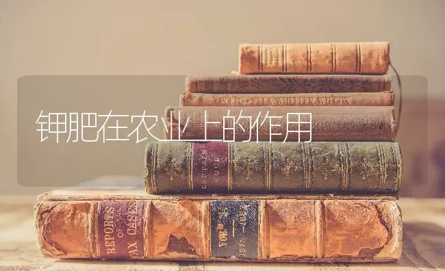 钾肥在农业上的作用 | 养殖知识