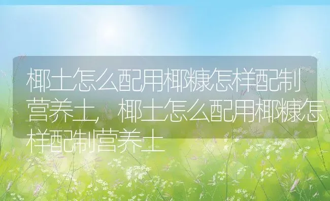 椰土怎么配用椰糠怎样配制营养土,椰土怎么配用椰糠怎样配制营养土 | 养殖科普