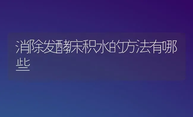 消除发酵床积水的方法有哪些 | 养殖知识