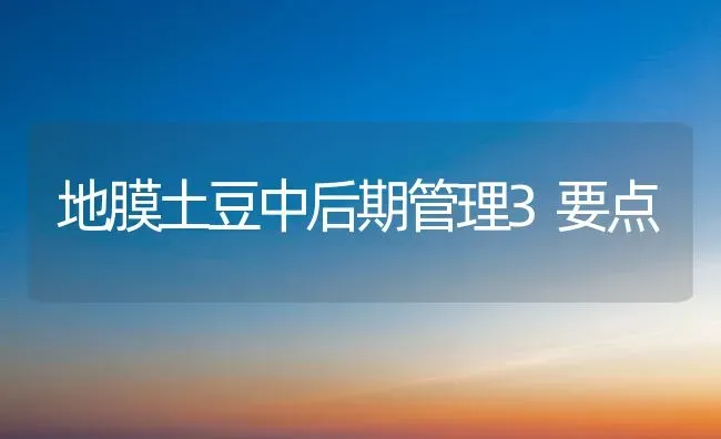地膜土豆中后期管理3要点 | 养殖知识
