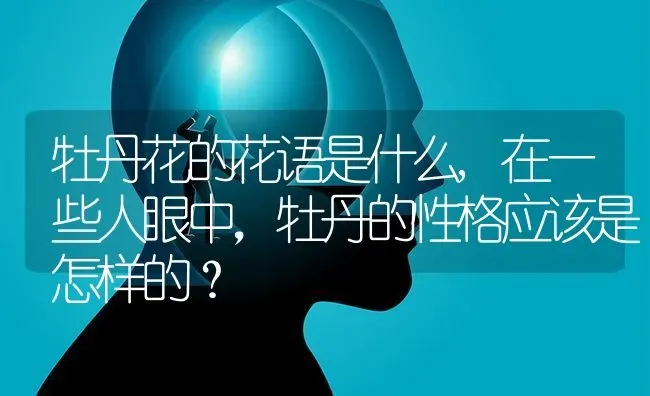 牡丹花的花语是什么,在一些人眼中，牡丹的性格应该是怎样的？ | 养殖科普