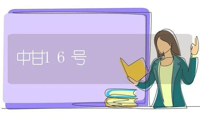 中甘16号 | 养殖技术大全
