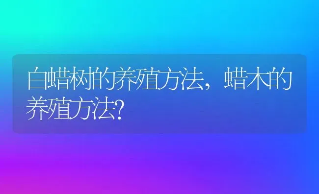 白蜡树的养殖方法,蜡木的养殖方法？ | 养殖科普