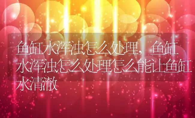 鱼缸水浑浊怎么处理,鱼缸水浑浊怎么处理怎么能让鱼缸水清澈 | 养殖学堂