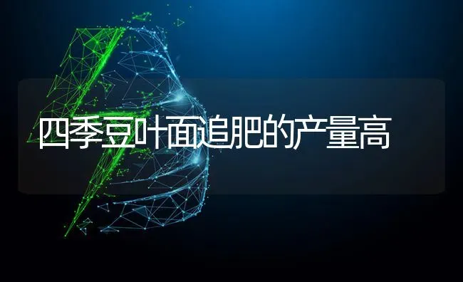 四季豆叶面追肥的产量高 | 养殖知识