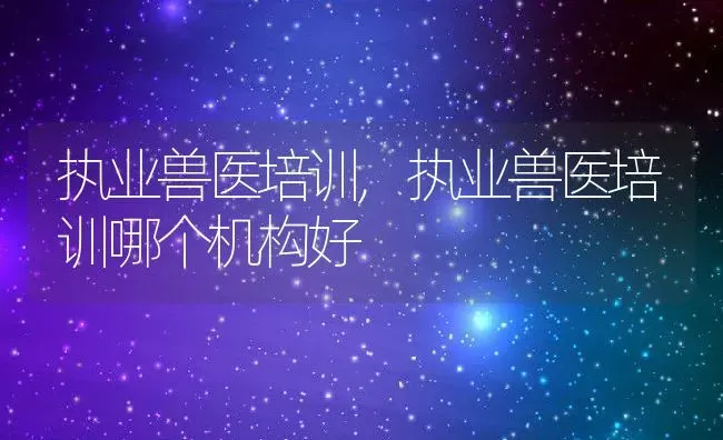 执业兽医培训,执业兽医培训哪个机构好 | 养殖科普