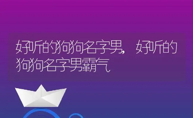 好听的狗狗名字男,好听的狗狗名字男霸气 | 养殖科普