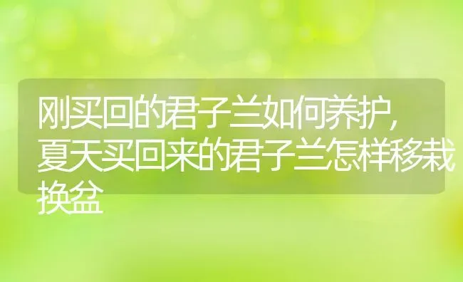 葫芦几月份种合适,青岛葫芦几月份种 | 养殖学堂