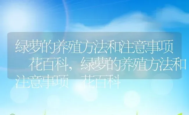山药的根是什么样子的,山药为什么一头粗一头细？ | 养殖科普