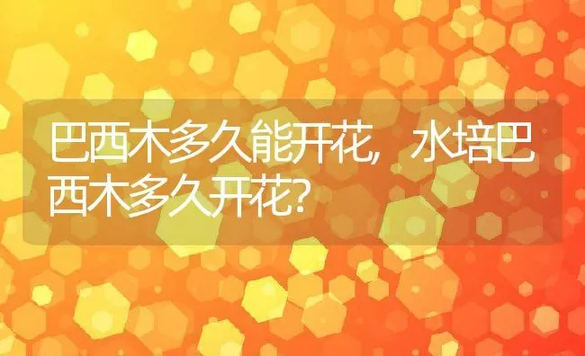 番茄和西红柿有什么区别,铁皮柿子和普通西红柿有什么区别？ | 养殖科普