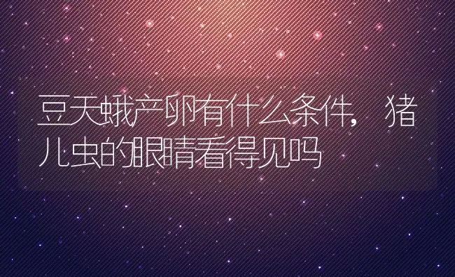 豆天蛾产卵有什么条件,猪儿虫的眼睛看得见吗 | 养殖学堂