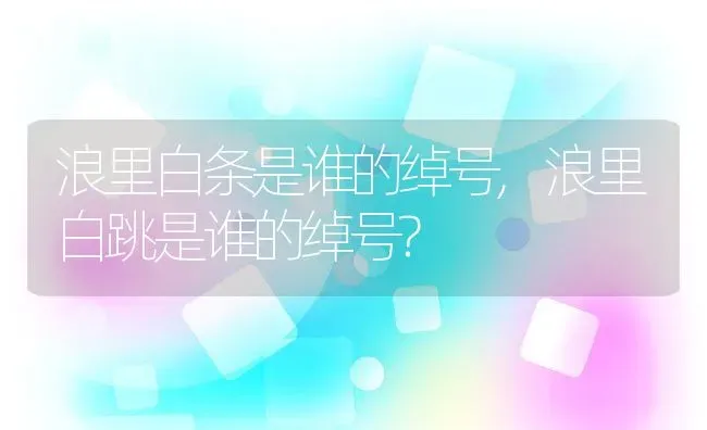 浪里白条是谁的绰号,浪里白跳是谁的绰号? | 养殖资料