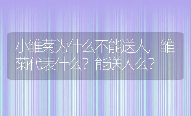 小雏菊为什么不能送人,雏菊代表什么？能送人么？ | 养殖学堂