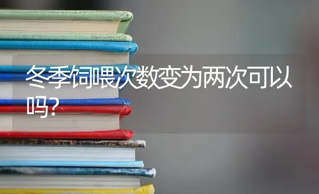 冬季饲喂次数变为两次可以吗? | 养殖知识