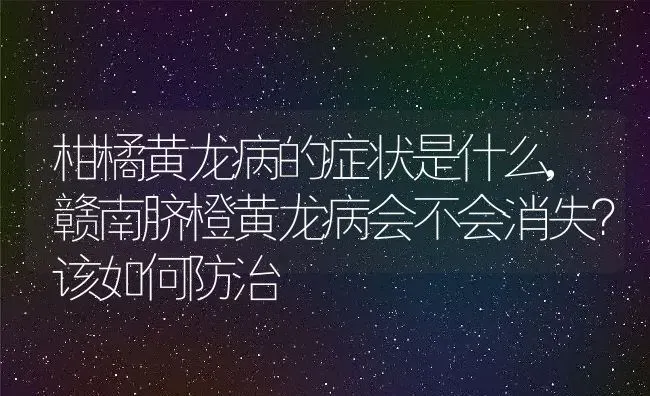 柑橘黄龙病的症状是什么,赣南脐橙黄龙病会不会消失？该如何防治 | 养殖学堂