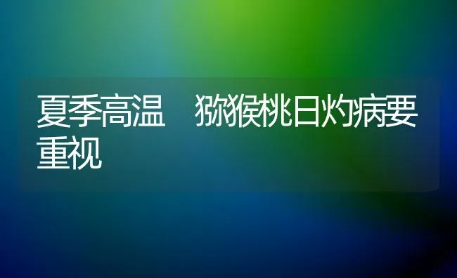 夏季高温 猕猴桃日灼病要重视 | 养殖技术大全