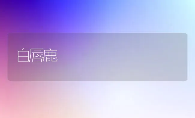 白唇鹿 | 养殖技术大全