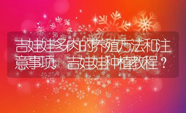 吉娃娃多肉的养殖方法和注意事项,吉娃娃种植教程？ | 养殖学堂