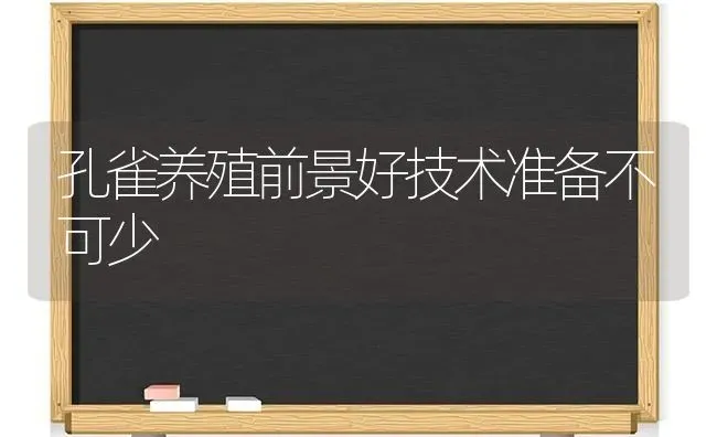 孔雀养殖前景好技术准备不可少 | 养殖技术大全