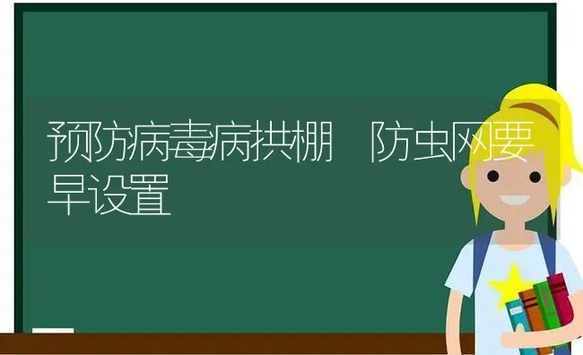 预防病毒病拱棚　防虫网要早设置 | 养殖知识