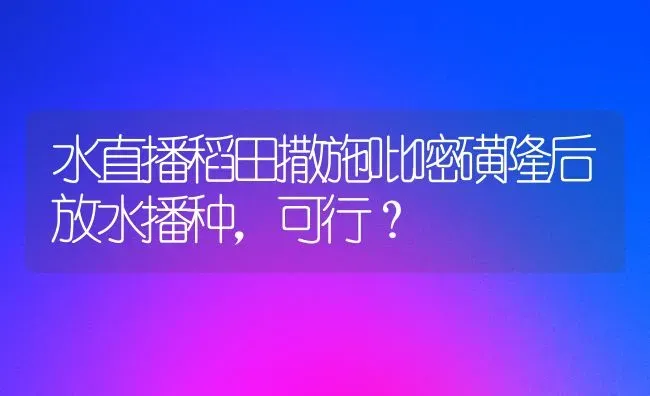 水直播稻田撒施吡嘧磺隆后放水播种,可行? | 养殖知识