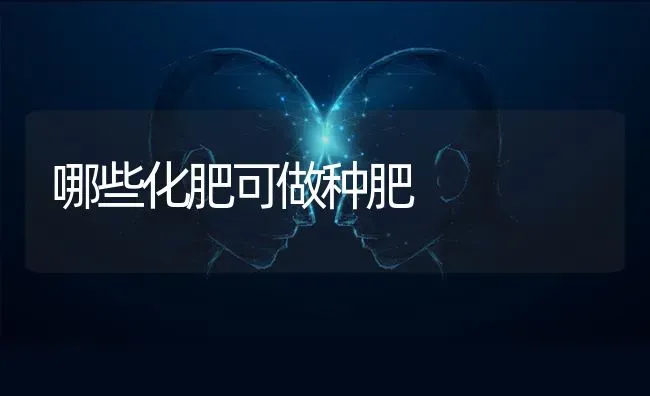哪些化肥可做种肥 | 养殖知识